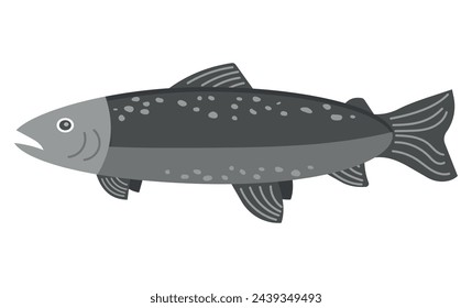 Fish, trout. Vector illustration of gray trout fish, suitable for logo, printing, food illustration. Hand drawn illustration of fish isolated on white background. Flat style.