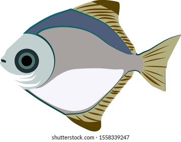Fish underwater, illustration, vector on white background.