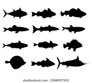 Fish underwater life silhouette seafood collection