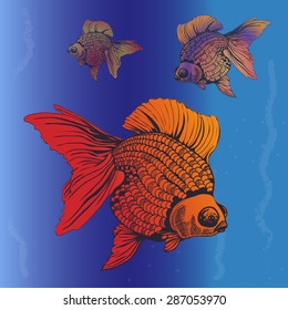 fish vector