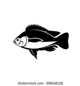  fish vector.