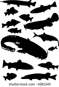 fish vector