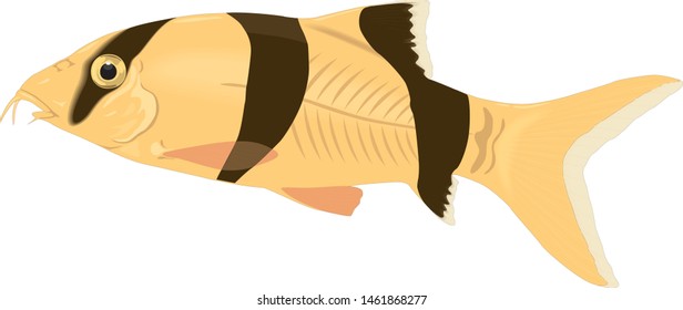 fish vector art element graphic