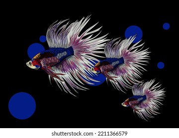 fish vector art illustration colorful