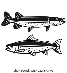 Fish vector black and white