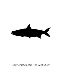 Fish vector by hand drawing.Fish tattoo on white background.Black and white fish vector on white background.
