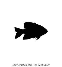 Fish vector by hand drawing.Fish tattoo on white background.Black and white fish vector on white background.