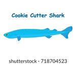Fish vector cartoon illustration t shirt design for kids with aquatic animal cookie cutter shark fish isolated on white background, design for introduction different types of fish for your children
