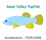 Fish vector cartoon illustration t shirt design for kids with aquatic animal dead valley pupfish isolated on white background, different types of fish education for your children and other uses