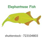Fish vector cartoon illustration t shirt design for kids with aquatic animal elephantnose fish isolated on white background, different types of fish education for your children and other uses
