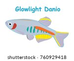 Fish vector cartoon illustration t shirt design for kids with aquatic animal glowlight danio fish isolated on white background.