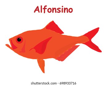 Fish vector cartoon illustration t shirt design for kids with saltwater animal alfonsino fish theme