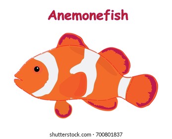 Fish vector cartoon illustration t shirt design for kids with saltwater animal anemonefish theme wallpaper