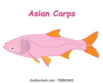 Fish vector cartoon illustration t shirt design for kids with saltwater animal asian carps fish theme wallpaper