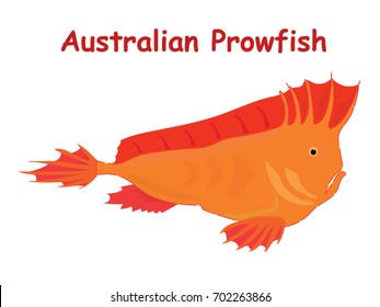 Fish vector cartoon illustration t shirt design for kids with saltwater animal australian prowfish theme wallpaper