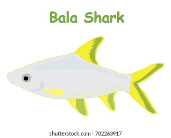 Fish vector cartoon illustration t shirt design for kids with saltwater animal bala shark fish theme wallpaper