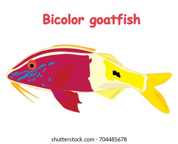 Fish vector cartoon illustration t shirt design for kids with saltwater animal bicolor goatfish theme wallpaper isolated on white background