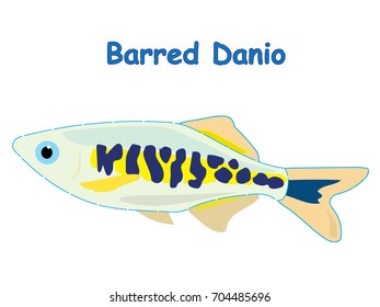 Fish vector cartoon illustration t shirt design for kids with saltwater animal barred danio fish theme wallpaper isolated on white background