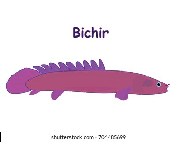 Fish vector cartoon illustration t shirt design for kids with saltwater animal bichir fish theme wallpaper isolated on white background