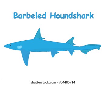 Fish vector cartoon illustration t shirt design for kids with saltwater animal barbeled houndshark fish theme wallpaper isolated on white background