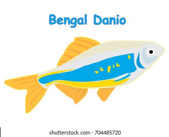 Fish vector cartoon illustration t shirt design for kids with saltwater animal bengal danio fish theme wallpaper isolated on white background