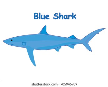 Fish vector cartoon illustration t shirt design for kids with saltwater animal blue shark fish theme isolated on white background wallpaper
