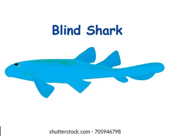 Fish vector cartoon illustration t shirt design for kids with saltwater animal blind shark fish theme isolated on white background wallpaper