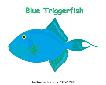 Fish vector cartoon illustration t shirt design for kids with saltwater animal blue triggerfish theme isolated on white background wallpaper