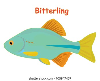 Fish vector cartoon illustration t shirt design for kids with saltwater animal bittering fish theme isolated on white background wallpaper