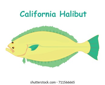 Fish vector cartoon illustration t shirt design for kids with aquatic animal california halibut fish isolated on white background, design for introduction of different types of fish for your child