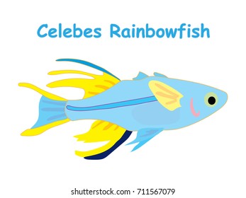 Fish vector cartoon illustration t shirt design for kids with aquatic animal celebes rainbowfish isolated on white background, design for introduction of different types of fish for your child