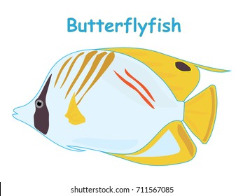 Fish vector cartoon illustration t shirt design for kids with aquatic animal butterflyfish isolated on white background, design for introduction of different types of fish for your child
