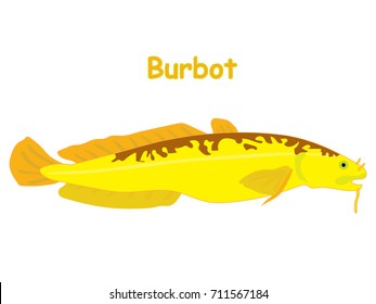 Fish vector cartoon illustration t shirt design for kids with aquatic animal burbot fish isolated on white background, design for introduction of different types of fish for your child