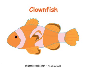 Fish vector cartoon illustration t shirt design for kids with aquatic animal clownfish isolated on white background, design for introduction different types of fish for your children