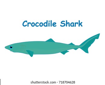 Fish vector cartoon illustration t shirt design for kids with aquatic animal crocodile shark fish isolated on white background, design for introduction different types of fish for your children