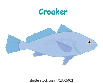 Fish vector cartoon illustration t shirt design for kids with aquatic animal croaker fish isolated on white background, design for introduction different types of fish for your children