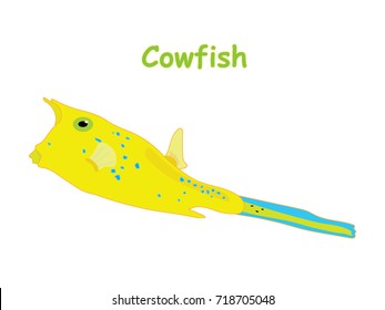 Fish vector cartoon illustration t shirt design for kids with aquatic animal cowfish isolated on white background, design for introduction different types of fish for your children