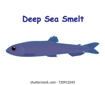 Fish vector cartoon illustration t shirt design for kids with aquatic animal deep sea smelt fish isolated on white background, different types of fish education for your children and other uses