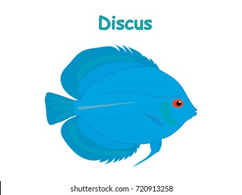 Fish vector cartoon illustration t shirt design for kids with aquatic animal discus fish isolated on white background, different types of fish education for your children and other uses