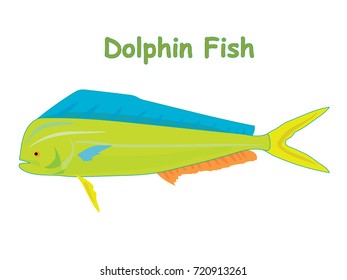 Fish vector cartoon illustration t shirt design for kids with aquatic animal dolphin fish isolated on white background, different types of fish education for your children and other uses