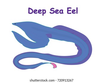 Fish vector cartoon illustration t shirt design for kids with aquatic animal deep sea eel fish isolated on white background, different types of fish education for your children and other uses