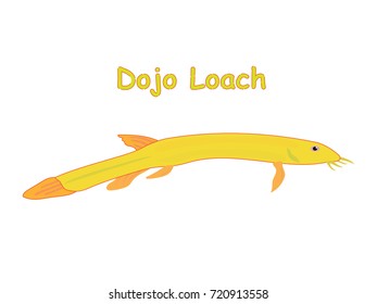 Fish vector cartoon illustration t shirt design for kids with aquatic animal dojo loach fish isolated on white background, different types of fish education for your children and other uses