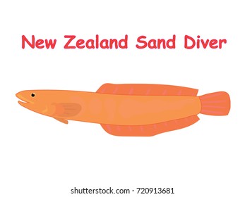 Fish vector cartoon illustration t shirt design for kids with aquatic animal new zealand sand diver fish isolated on white background different types of fish education for your children and other uses