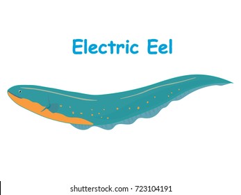 Fish vector cartoon illustration t shirt design for kids with aquatic animal electric eel fish isolated on white background, different types of fish education for your children and other uses