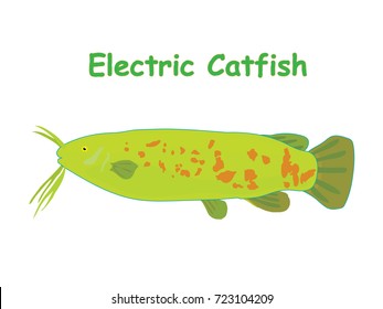 Fish vector cartoon illustration t shirt design for kids with aquatic animal electric catfish isolated on white background, different types of fish education for your children and other uses