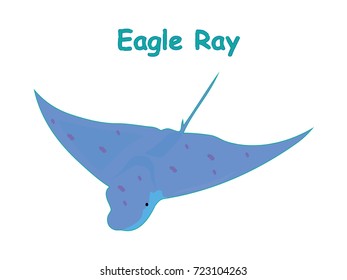 Fish vector cartoon illustration t shirt design for kids with aquatic animal eagle ray fish isolated on white background, different types of fish education for your children and other uses