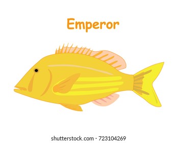 Fish vector cartoon illustration t shirt design for kids with aquatic animal emperor fish isolated on white background, different types of fish education for your children and other uses
