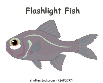 Fish vector cartoon illustration t shirt design for kids with aquatic animal flashlight fish isolated on white background, different types of fish education for your children and other uses