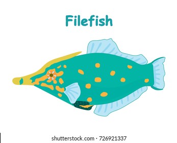 Fish vector cartoon illustration t shirt design for kids with aquatic animal filefish isolated on white background, different types of fish education for your children and other uses
