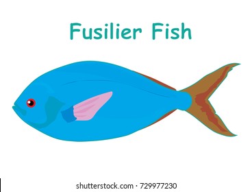 Fish vector cartoon illustration t shirt design for kids with aquatic animal fusilier fish isolated on white background, different types of fish education for your children and other uses